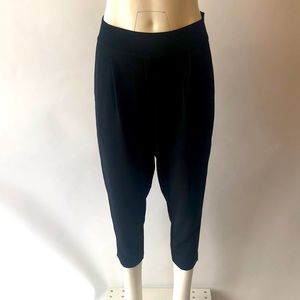 Eileen Fisher Pleated Black Effortless Pants